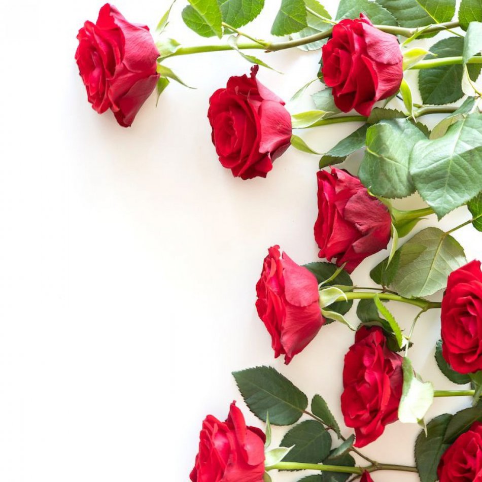 Brievenbus Rode Rozen 