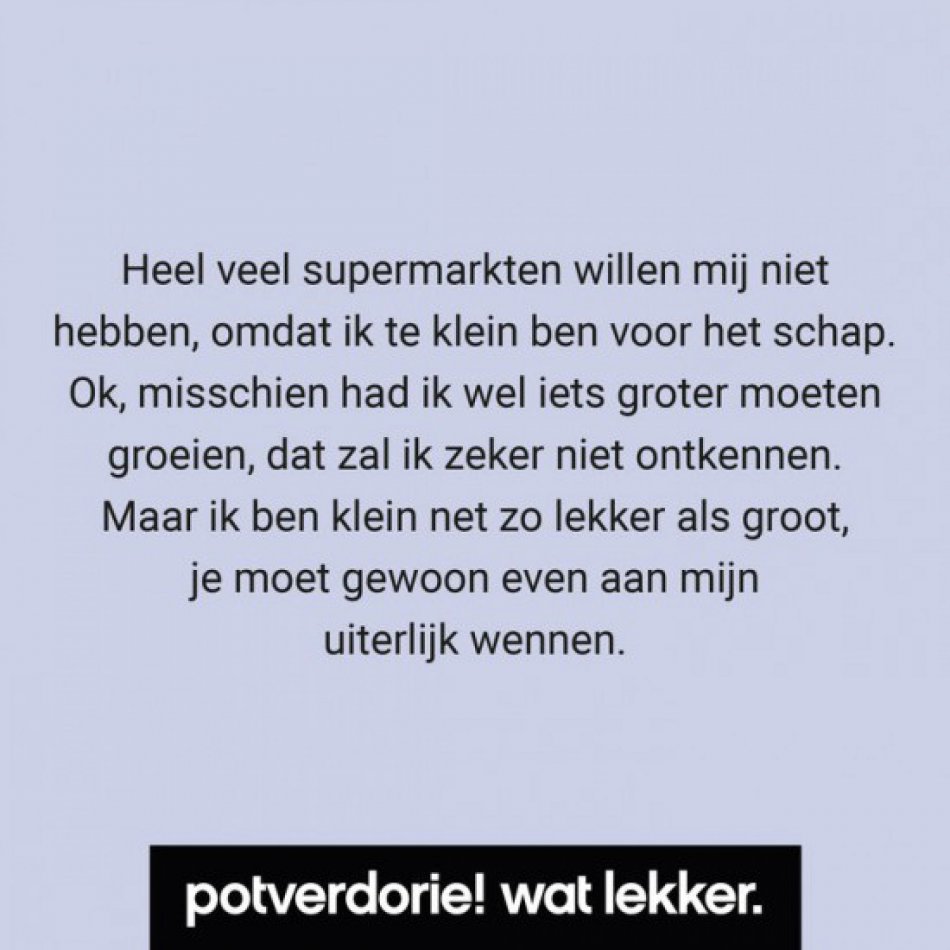 Potverdorie! Pruimen-gemberspread, 210 ml